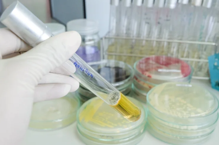 Microbiology-----15